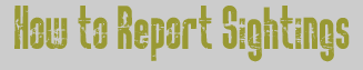 How to Report Sightings