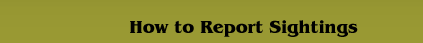 How to Report Sightings