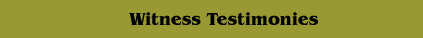 Witness Testimonies