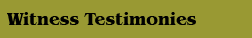 Witness Testimonies