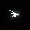 Angelic-like orbs - Bob Emery
