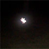Angelic-like orbs - Bob Emery