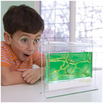 Photo of little boy with cross section of ant farm